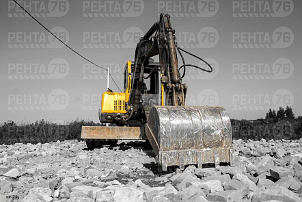 Фото VOLVO EC55 в прокат 