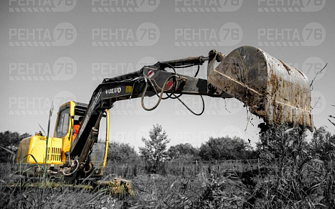 Фото VOLVO EC55 в прокат 