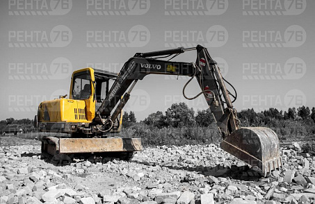 Фото VOLVO EC55 в прокат 