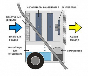 Фото MASTER DH 62 в прокат 