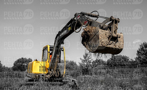 Фото VOLVO EC55 в прокат 